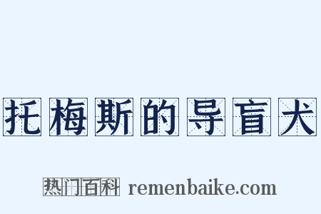 托梅斯的导盲犬是什么意思的图片